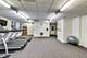 1250 S Indiana Unit 1408, Chicago, IL 60605