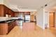 1250 S Indiana Unit 1408, Chicago, IL 60605