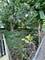 2841 E 89th, Chicago, IL 60617