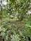 2841 E 89th, Chicago, IL 60617