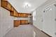 3028 S Millard, Chicago, IL 60623