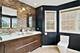 1228 S Leo, Palatine, IL 60067