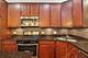 4145 S Wabash Unit 1N, Chicago, IL 60653