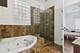 4145 S Wabash Unit 1N, Chicago, IL 60653