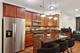 4145 S Wabash Unit 1N, Chicago, IL 60653