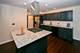 580 Walnut, Elk Grove Village, IL 60007