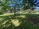 512 Hill, Highland Park, IL 60035