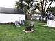 17917 Lorenz, Lansing, IL 60438