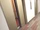7337 S South Shore Unit 904, Chicago, IL 60649