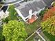 2015 Yellow Daisy, Naperville, IL 60563