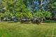 849 Hemlock, Sleepy Hollow, IL 60118