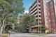 435 William Unit 205, River Forest, IL 60305