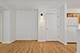 435 William Unit 205, River Forest, IL 60305