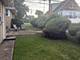 16560 Greenwood, South Holland, IL 60473