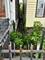 9036 S Houston, Chicago, IL 60617