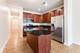 1124 Lake Unit 411, Oak Park, IL 60301