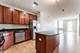 1124 Lake Unit 411, Oak Park, IL 60301