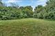 13743 W Carefree, Homer Glen, IL 60491