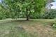 13743 W Carefree, Homer Glen, IL 60491