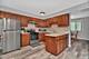 13743 W Carefree, Homer Glen, IL 60491