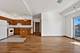 2322 S Canal Unit 311, Chicago, IL 60616