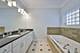 1424 W Barry, Chicago, IL 60657