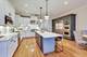 1424 W Barry, Chicago, IL 60657