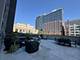225 S Sangamon Unit 303, Chicago, IL 60607
