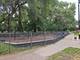 1050 W Dakin Unit G2, Chicago, IL 60613