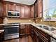 4156 N Elston Unit 3N, Chicago, IL 60618