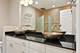 1341 S Indiana Unit D, Chicago, IL 60605
