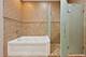 1341 S Indiana Unit D, Chicago, IL 60605