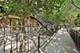1341 S Indiana Unit D, Chicago, IL 60605