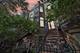 1341 S Indiana Unit D, Chicago, IL 60605