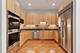 1341 S Indiana Unit D, Chicago, IL 60605