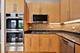1341 S Indiana Unit D, Chicago, IL 60605