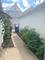 3013 N Hamlin Unit 2, Chicago, IL 60618
