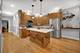 4619 N Lawndale Unit 1, Chicago, IL 60625