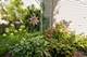 219 Galway, Grayslake, IL 60030