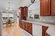722 N Northwest Unit A, Park Ridge, IL 60068