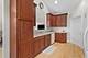 722 N Northwest Unit A, Park Ridge, IL 60068