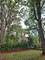 6870 N Wildwood, Chicago, IL 60646