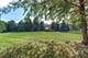 24820 W Easy, Plainfield, IL 60586