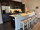 1720 Central Unit 422, Evanston, IL 60201