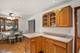 13041 S Muskegon, Chicago, IL 60633
