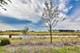 14436 Capital, Plainfield, IL 60544