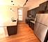 2100 W 18th Unit 102, Chicago, IL 60608