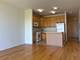 2335 W Belle Plaine Unit 508, Chicago, IL 60618