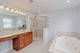 4603 Jenna, Glenview, IL 60025