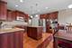 312 Monument, Elgin, IL 60124